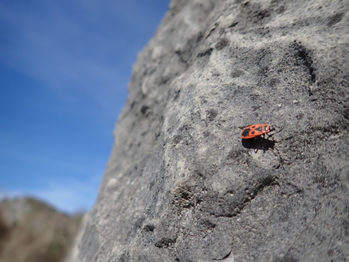 moniteur d'escalade en Vallée d'Ossau