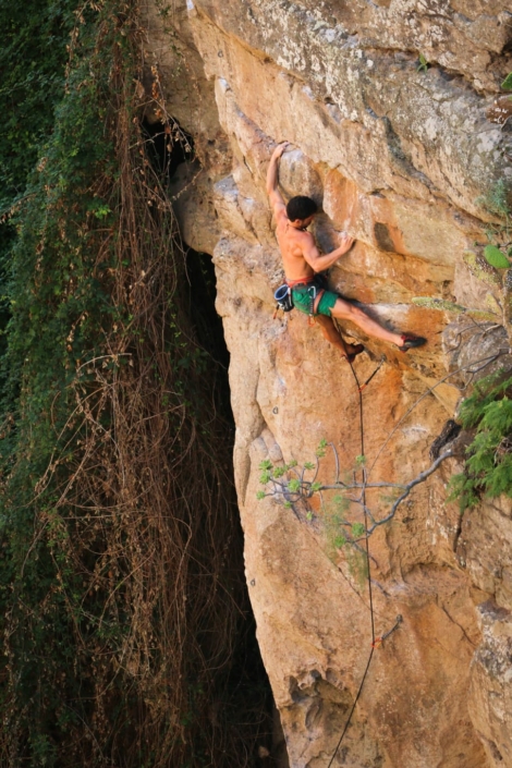 escalade falaise pyrénées béarn